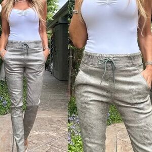 BEVY FLOG Shely Joggers in Metallic Gray / Green Retail $220 sold out size 25